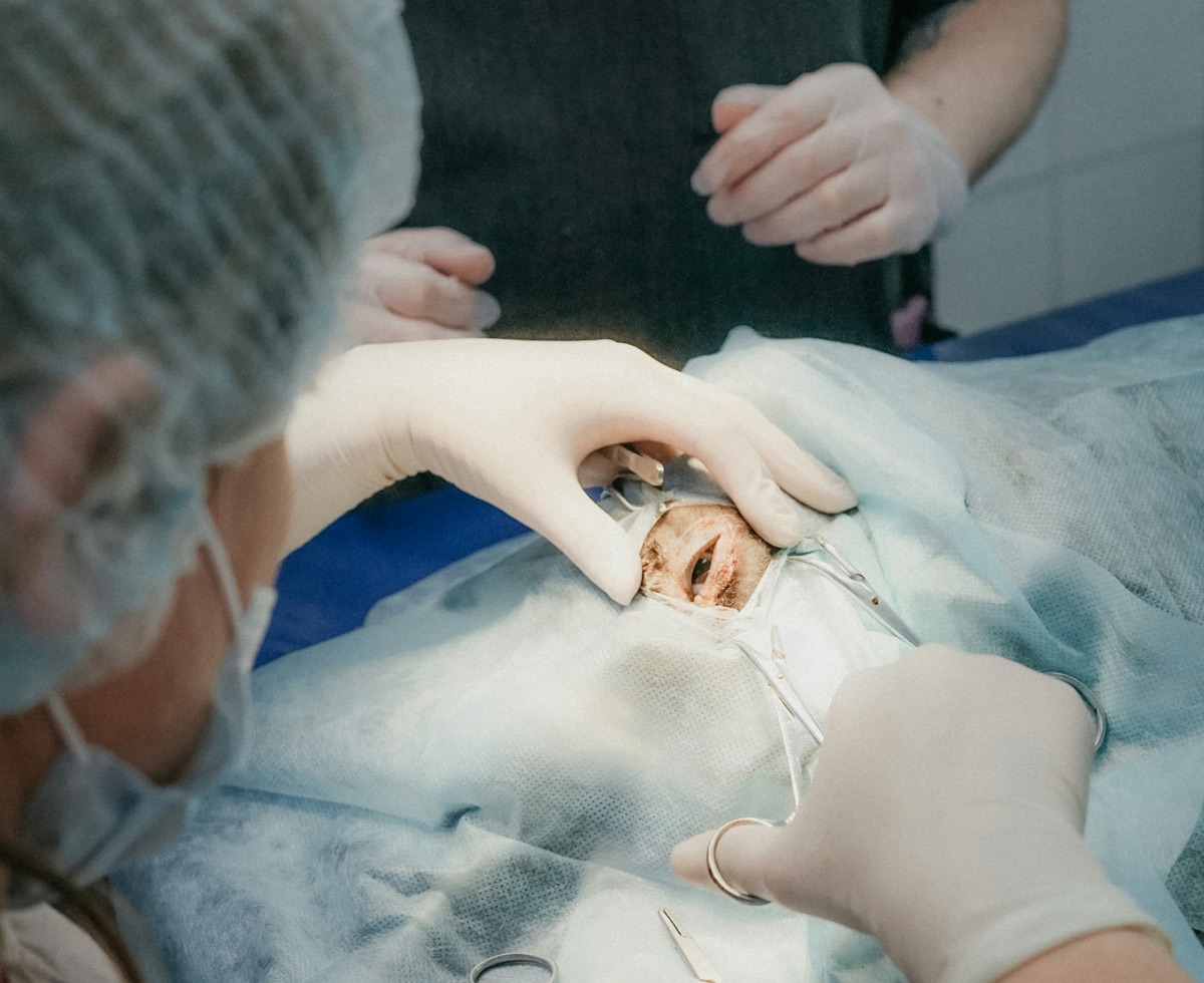 veterinary procedure