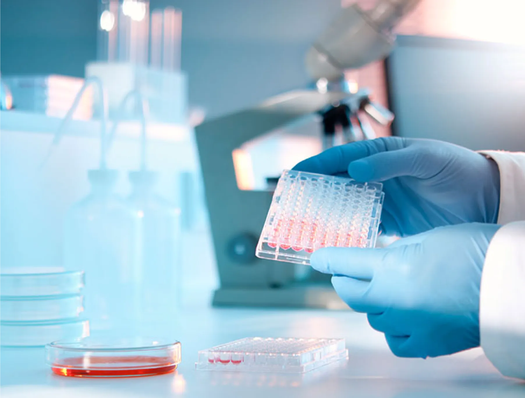 A pair of gloved hands handling specimen in a lab setting.